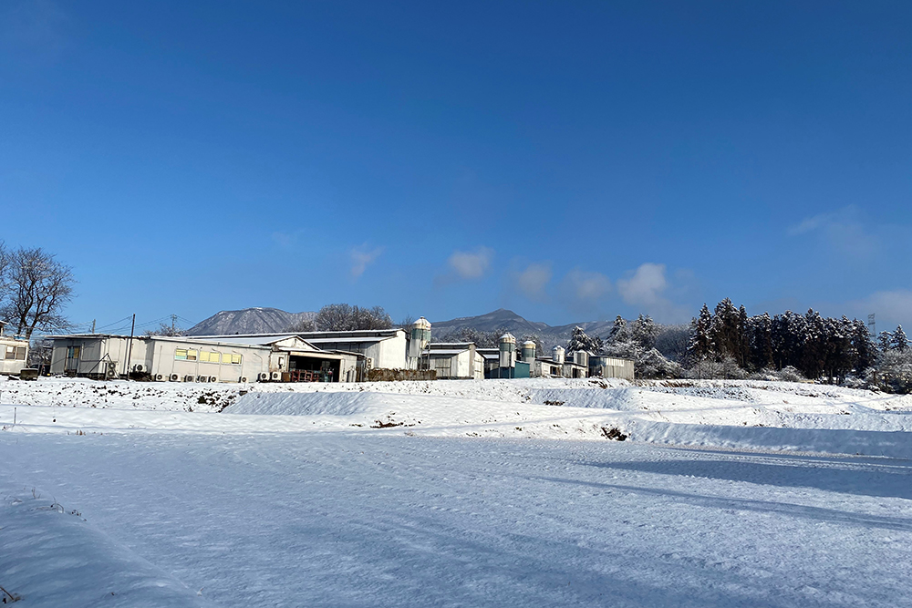 冬の赤城養鶏牧場
